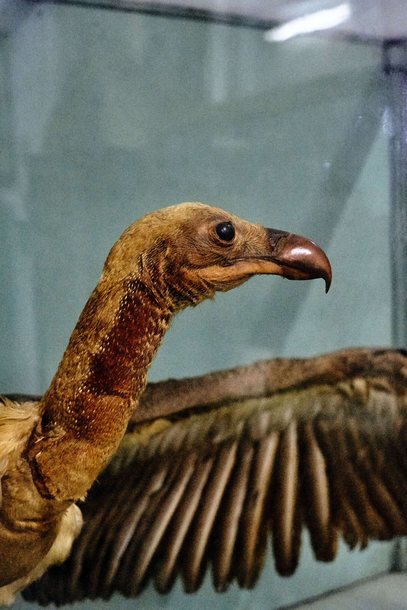 Government Art Museum Chennai